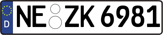 NE-ZK6981