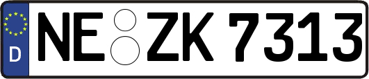 NE-ZK7313