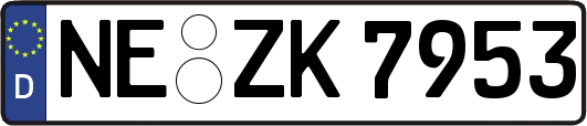 NE-ZK7953