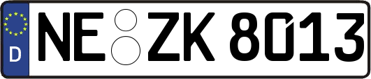 NE-ZK8013