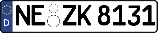 NE-ZK8131
