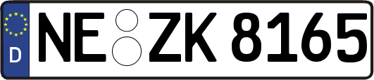 NE-ZK8165