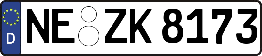 NE-ZK8173