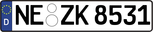 NE-ZK8531