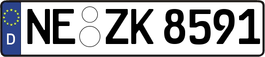NE-ZK8591