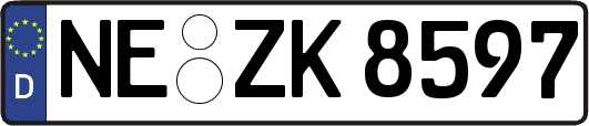 NE-ZK8597