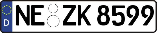 NE-ZK8599