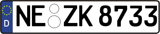 NE-ZK8733