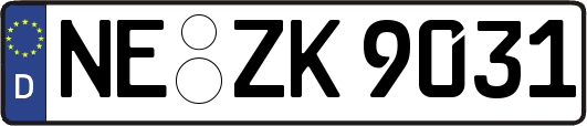 NE-ZK9031