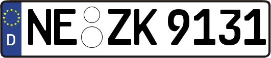 NE-ZK9131