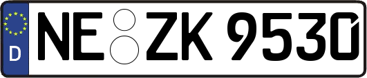 NE-ZK9530