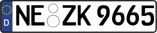 NE-ZK9665