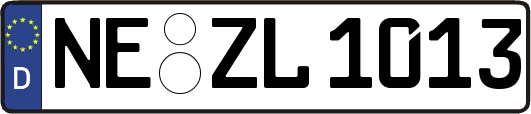 NE-ZL1013