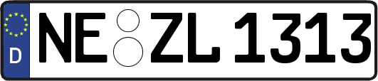 NE-ZL1313