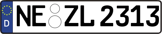 NE-ZL2313
