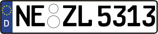 NE-ZL5313