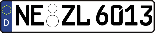 NE-ZL6013