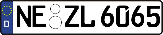 NE-ZL6065