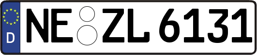 NE-ZL6131