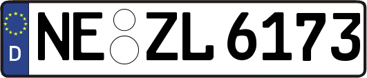 NE-ZL6173