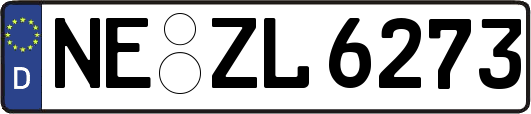 NE-ZL6273