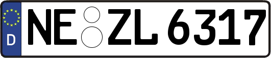 NE-ZL6317