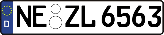 NE-ZL6563