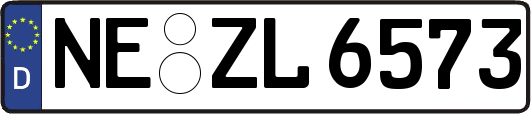 NE-ZL6573