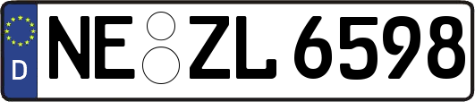 NE-ZL6598