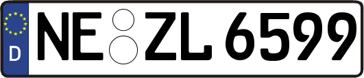 NE-ZL6599