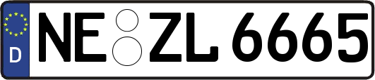 NE-ZL6665