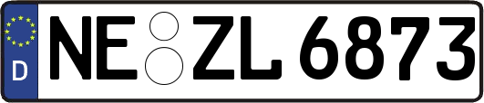 NE-ZL6873