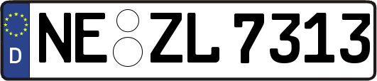 NE-ZL7313