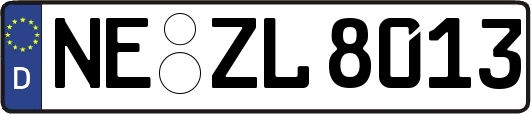 NE-ZL8013