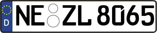 NE-ZL8065