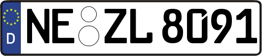 NE-ZL8091