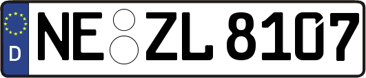 NE-ZL8107