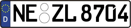NE-ZL8704