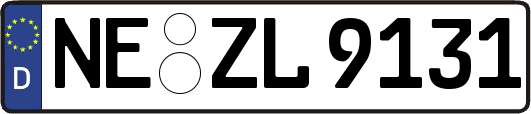 NE-ZL9131