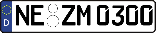 NE-ZM0300