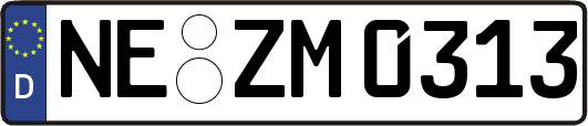 NE-ZM0313