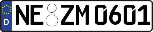 NE-ZM0601