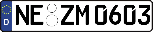 NE-ZM0603