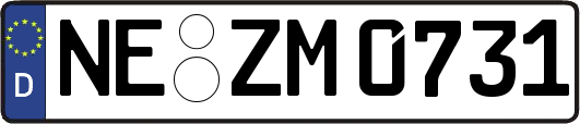 NE-ZM0731