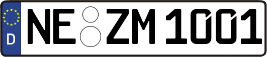 NE-ZM1001