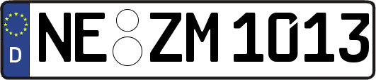 NE-ZM1013