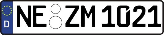 NE-ZM1021