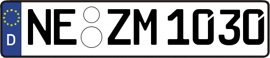 NE-ZM1030