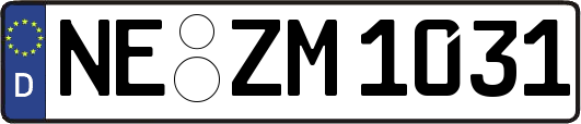 NE-ZM1031