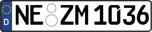 NE-ZM1036